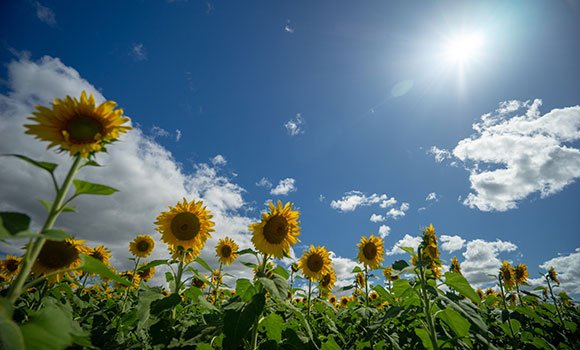 Disability Respite in Kalbar Gallery