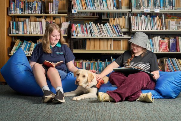 Sage canine enhancing student wellbeing at Carinity school
